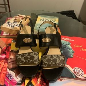 Hendrick Sig - Size 11M